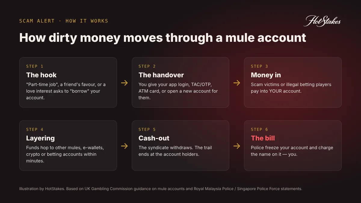 How a money mule account scam works in 6 steps: hook, handover, money in, layering, cash-out, police charge the account holder
