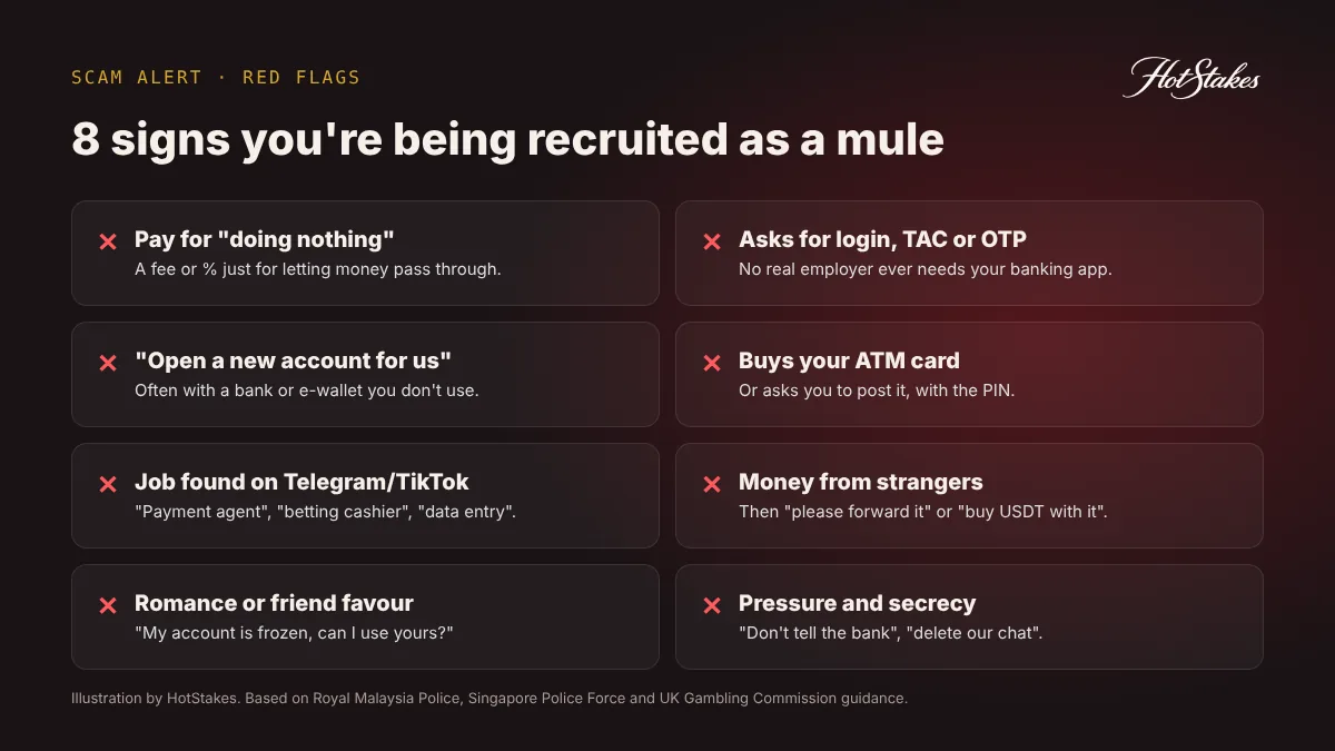 8 red flags of money mule recruitment: pay for nothing, requests for banking login or OTP, buying ATM cards, Telegram job offers